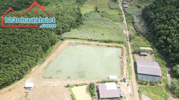 bán đất giá 47k/m2 rộng 13.000m2 gần trang trại Tà Gộc xã Khánh Thượng, Khánh Vĩnh
