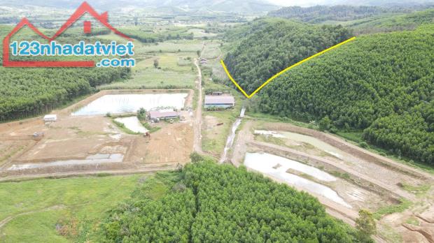 bán đất giá 47k/m2 rộng 13.000m2 gần trang trại Tà Gộc xã Khánh Thượng, Khánh Vĩnh - 1