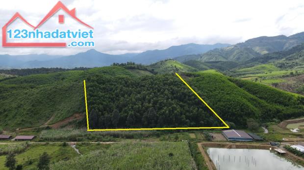 bán đất giá 47k/m2 rộng 13.000m2 gần trang trại Tà Gộc xã Khánh Thượng, Khánh Vĩnh - 2