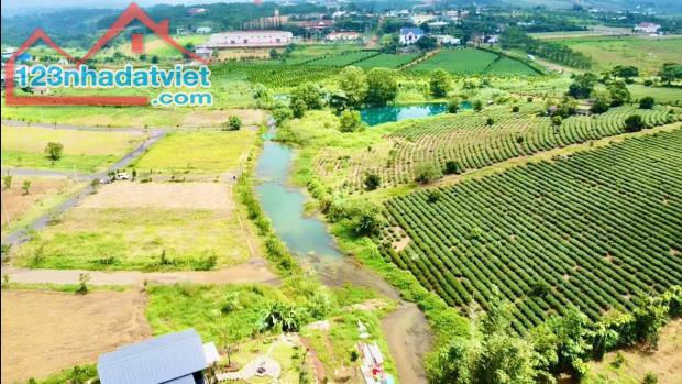 Bán gấp 130m2 view lưng tựa núi mặt hướng thuỷ siêu đẹp tại Bảo Lộc giá 450 triệu - 1