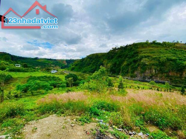 Cần bán mảnh đất diện tích lớn tại Lâm Đồng tặng thêm 6000m2 đất kinh doanh homestay - 2