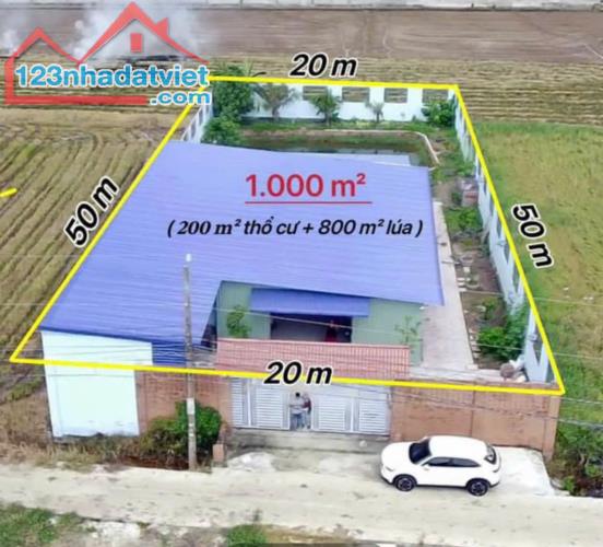 Nhà xưởng tổng dt 1000m2 An Thạnh, Bến Lức, Long An dt 1000m2 giá 7 tỷ - 2