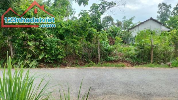 BÁN ĐẤT MẶT TIỀN BÙI VĂN SỰ 495M2 QUY ĐỨC, BÌNH CHÁNH, GIÁ 5 TỶ 8 - 2