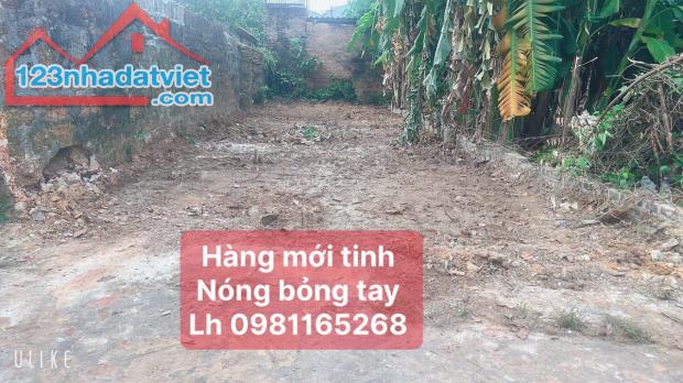 LOANH QUANH GIÁ CHƯA ĐẾN TỶ DT 77,9  M FUN THỔ CƯ TẠI THÁI LAI MINH TRÍ TIỆN ÍCH TRANF - 4