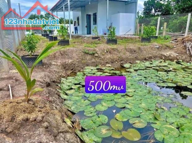 nhà + vườn + ao , 500m2 550tr bao sang tên công chứng, sổ hồng