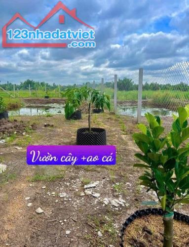 nhà + vườn + ao , 500m2 550tr bao sang tên công chứng, sổ hồng - 1