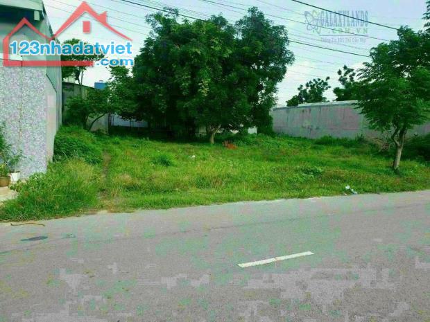 Bán lô đất thổ cư 75m Hồng Tiến, Giảm Giá Mạnh Phổ Yên, Thái Nguyên - 1