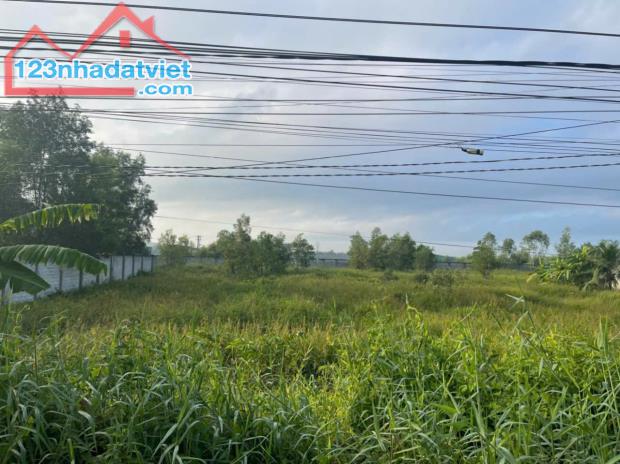 7600m2 đất vườn ấp 9, xã Lương Hòa, Bến Lức, Long An giá 22 tỷ - 3