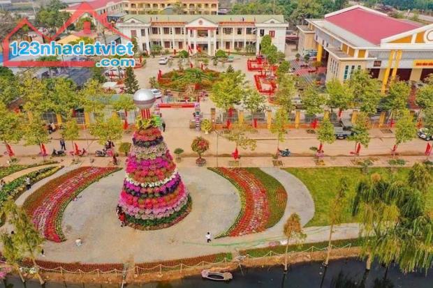 Bán đất đấu giá Lô Góc 127m thôn 7 Xuân Quan giá siêu nét cho nhà đầu tư - 3