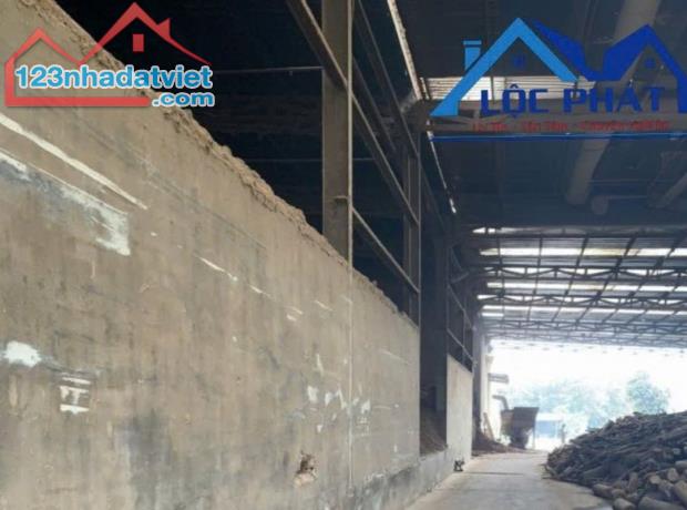 BÁN XƯỞNG tại Dầu Tiếng Bình Dương diện tích 11400m2 có dòng tiền 370 tr/tháng - 2