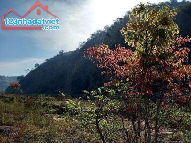 Cần bán khách sạn cắt lỗ tại Đà Lạt tặng đất kinh doanh homestay - 1