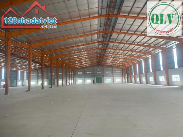 Cho thuê nhà xưởng 4.600m2 tại Hướng Thọ Phú, Tân An,  Long An - 3