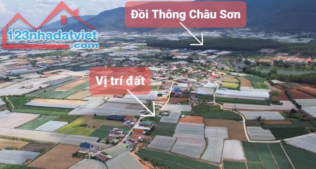 Bán đất nghỉ dưỡng view đồi thông Châu Sơn, Đơn Dương. - 4