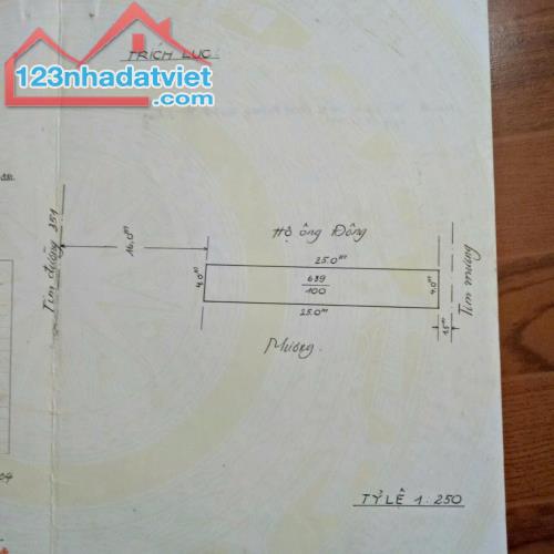 Hàng rẻ nhất thị trường mặt đường 351 Đặng Cương - An Dương  📌Diện tích : 10