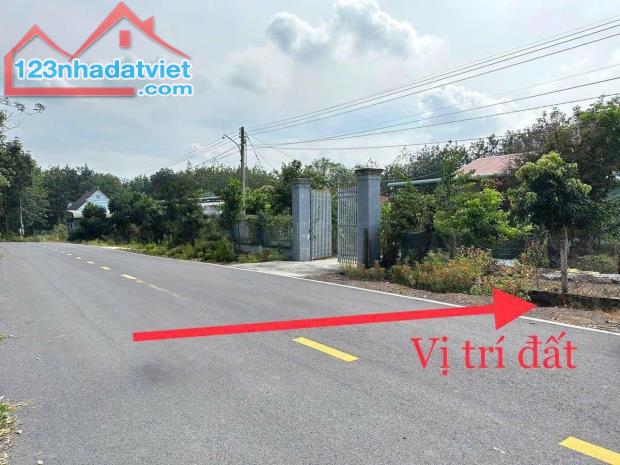 vườn sầu riêng 1185m2 có sẵn 200m thổ cư, đường nhựa 18m, sổ hồng - 1