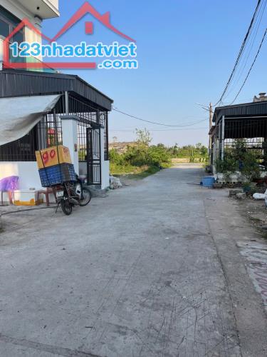 Bán đất Tân Thành - Dương Kinh - Hải Phòng - 5