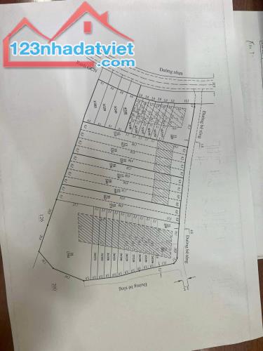 Cần bán 1,2 ha đã tách làm 34 sổ riêng có tổng 3000 mét vuông thổ cư. - 1