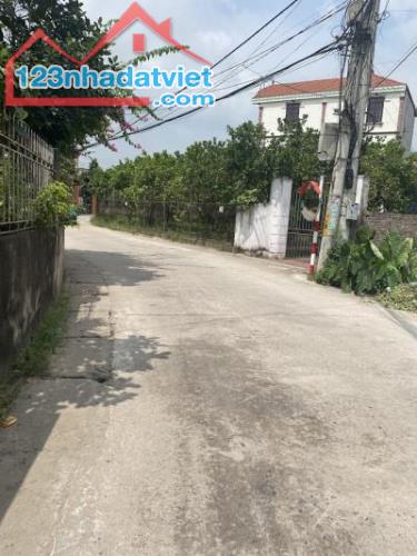 Bán 720m2 đất Chương Dương, Thường Tín.