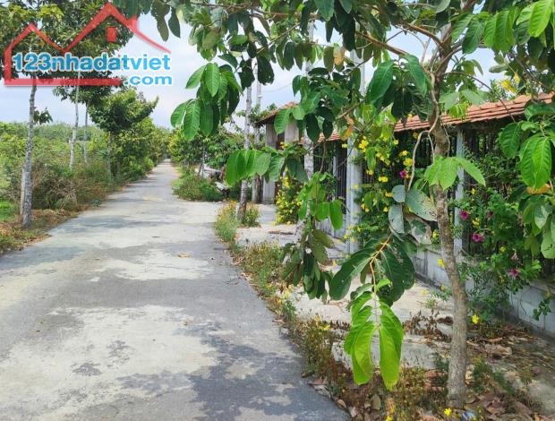 Đất Nở hậu Đường 565 Củ Chi, 0.4Ha, 79x46m, Đ.6m chỉ 2x tỷ - 1