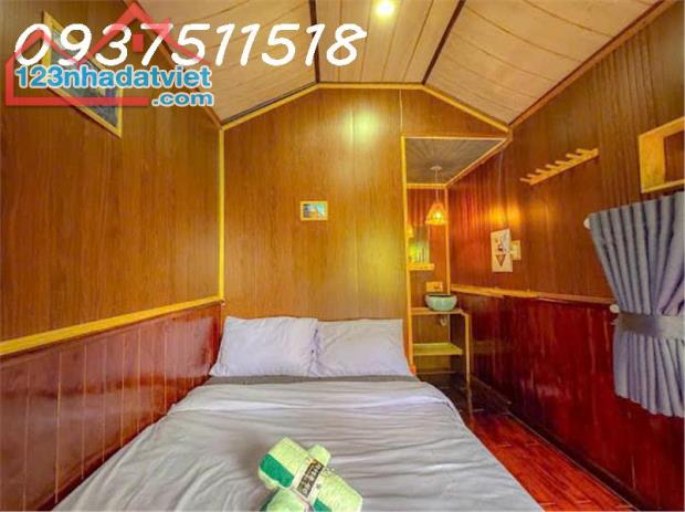 🏠 CHO THUÊ HOMESTAY ĐƯỜNG THÁNH MẪU-P7 DALAT