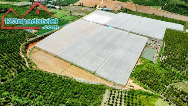 Cần bán gấp 4.6Ha đất nông nghiệp:xã Đà Loan,Đức Trọng,Lâm Đồng.chỉ 14 tỷ TL