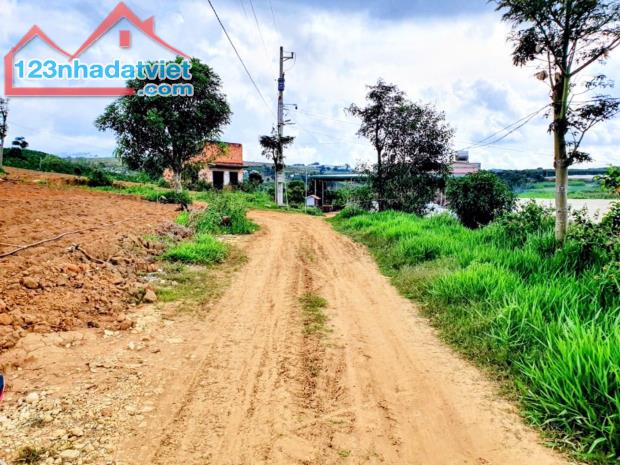 Cần bán gấp 4.6Ha đất nông nghiệp:xã Đà Loan,Đức Trọng,Lâm Đồng.chỉ 14 tỷ TL - 3