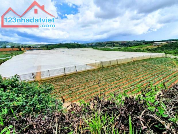 Cần bán gấp 4.6Ha đất nông nghiệp:xã Đà Loan,Đức Trọng,Lâm Đồng.chỉ 14 tỷ TL - 4
