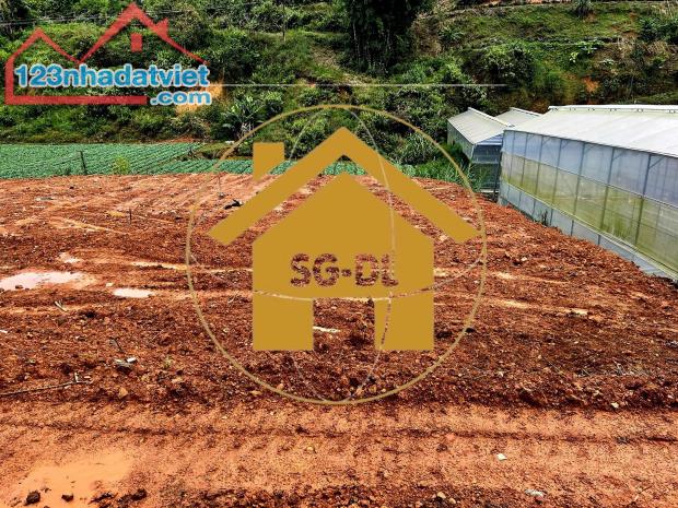 Cần bán gấp 438m2 đất mặt tiền đường Đa Phú, P7, Đà Lạt giá 12,5 tỷ - 5