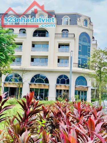 Bán Shophouse Dự Án Royal Mansion Vị Trí Độc Tôn, Trung Tâm Ngã 6 Bắc Giang. - 3