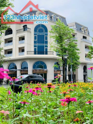 Bán Shophouse Dự Án Royal Mansion Vị Trí Độc Tôn, Trung Tâm Ngã 6 Bắc Giang. - 4