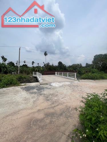 Hơn 2700m2 đất View Rạch Mặt Tiền An Thạnh 41, Cách Sông Búng chỉ 300m - 3