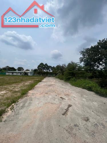 Hơn 2700m2 đất View Rạch Mặt Tiền An Thạnh 41, Cách Sông Búng chỉ 300m - 4