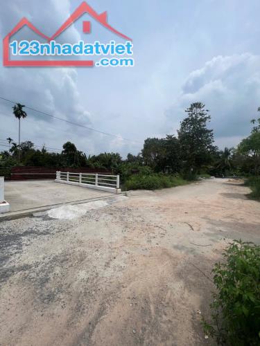 Hơn 2700m2 đất View Rạch Mặt Tiền An Thạnh 41, Cách Sông Búng chỉ 300m - 5