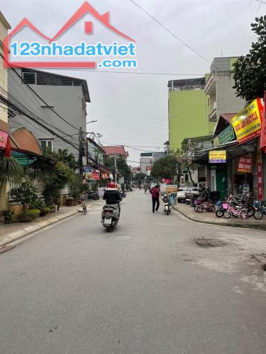 Đất đẹp Cổ Điển,Hải Bối Đông Anh - 1