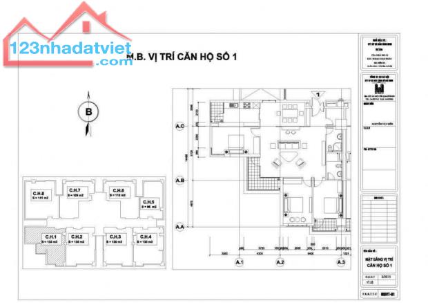 BÁN GẤP CĂN HỘ CAO CẤP NGOẠI GIAO ĐOÀN 132M2 - HỎI MUA LÀ BÁN. - 1