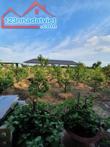 BÁN ĐẤT TẶNG KHU DU LỊCH SINH THÁI 20000M2 ĐẤT GIẢM CHÀO 3TỶ - 1