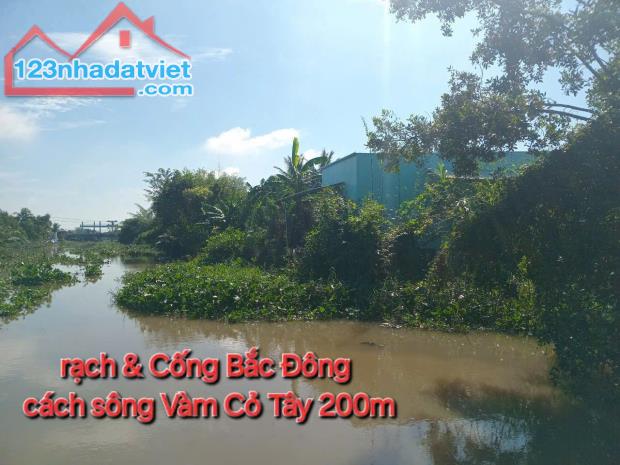 ĐẤT ĐẸP- GIÁ TỐT - Chính Chủ Cần Bán Nhanh Nhà Đất Tại Mỹ An, Thủ Thừa, Long An - 1