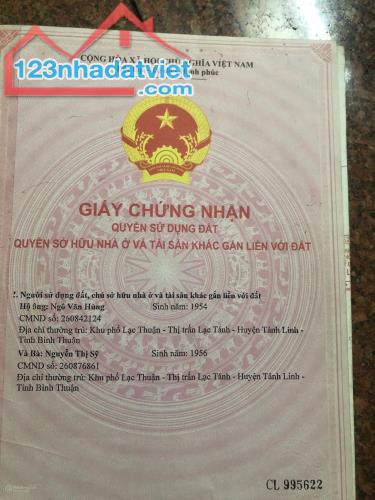 BÁN ĐẤT CAO SU 3HA – THÔN 1, XÃ GIA HUỲNH, HUYỆN TÁNH LINH, BÌNH THUẬN - 2