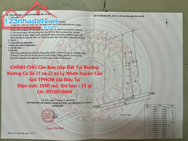 CHÍNH CHỦ Cần Bán Gấp Đất Tại Đường Xương Cá Số (1 và 2) xã Lý Nhơn huyện Cần Giờ TPHCM