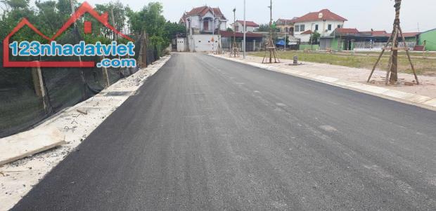 Bán đất lô góc gần vành đai 4 diện tích 169m giá đầu tư. - 3