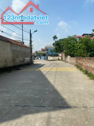 Thửa đất ô tô thông, 80m2. Full thổ, mt5m, Ninh Môn, Sóc Sơn. 2.080 tỷ. - 3