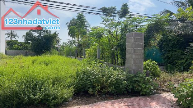 Bán đất lagi 10x38 50m2 thổ cư mặt tiền Nguyễn Du - Xã Tân Phước - Thị xã LaGi - 3