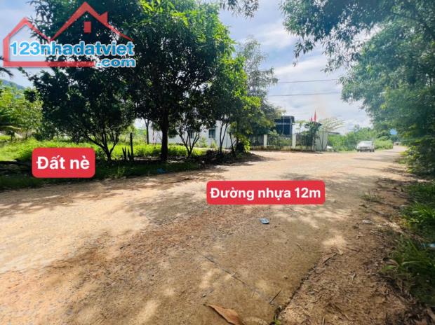 Bán đất Khánh Đông giá rẻ mặt tiền đường liên thôn QH 12m - 1