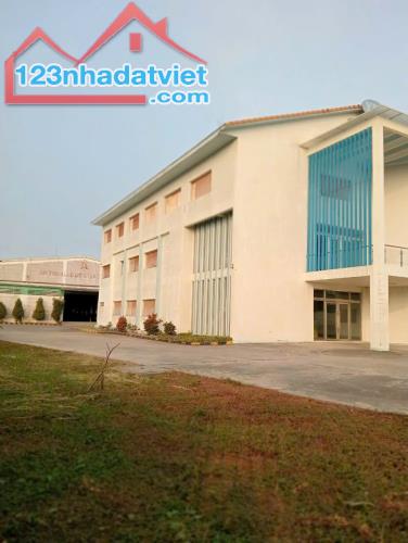 Nhà xưởng tổng DT 1,9ha xã Nhựt Chánh,Bến Lức,Long An giá 120 tỷ - 2