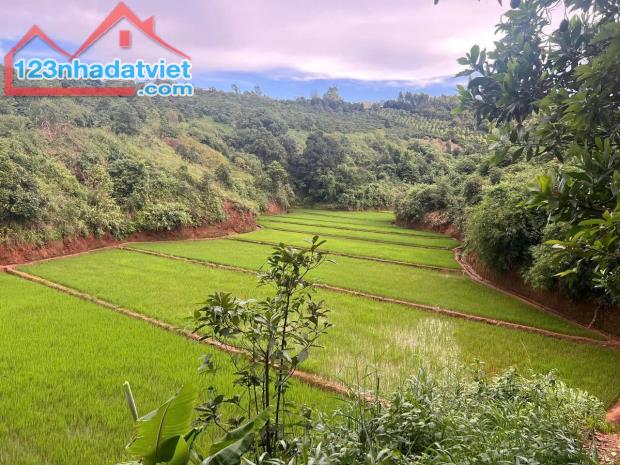 Bán Đất làm Homestay, Farmstay - 2