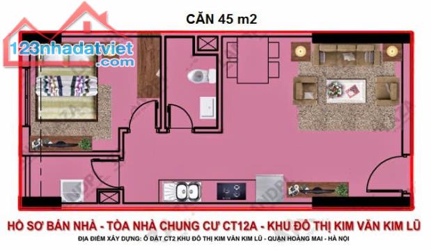 Chính chủ cần bán căn hộ 1 ngủ 45m, hướng đông Nam, đã có sổ tại tòa CT12A KDT Kim Văn Kim