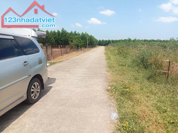 Nha Bích, Tx. Chơn Thành giá chỉ💰 195tr 💰 - 224m2 ( 100m2 thổ cư ) 5 x 41m - 1