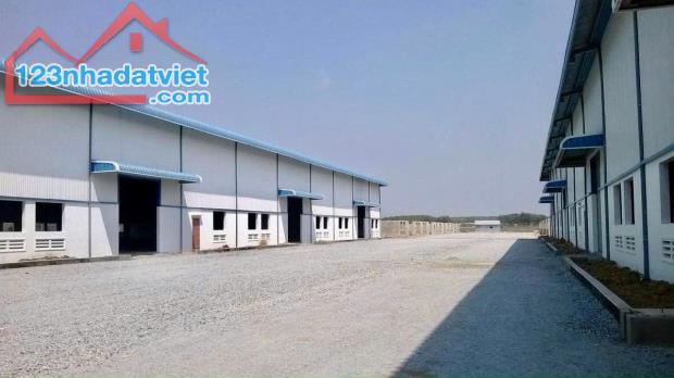 KẸT TIỀN SANG GẤP 390M2 ĐẤT THỔ CƯ ĐƯỜNG RỘNG THẲNG VÀO KCN NGAY TRƯỜNG, CHỢ. GIÁ 170TR/SỔ - 4