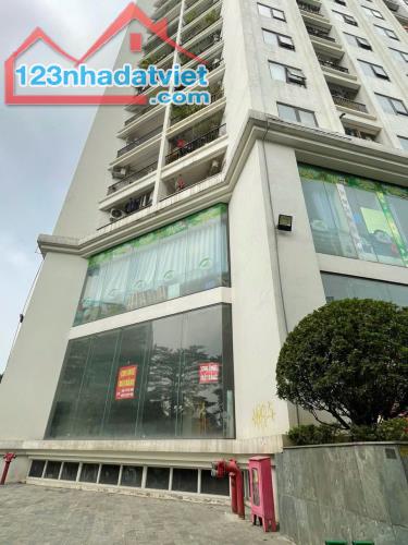 Giá rẻ vô địch: Căn Penthouse Duplex 4PN 365m2 Tecco Skyville view toàn thành phố, ở sang - 2