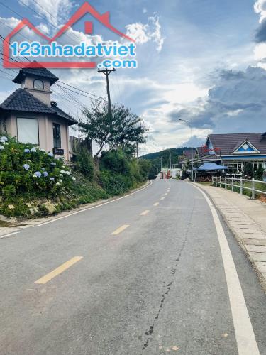 💰5,2TỶ sở hữu 211m2 ĐẤT View Thông Vĩnh Viễn PHƯỜNG 7 đường OTO tận nơi✨ra chợ Đà Lạt 15p